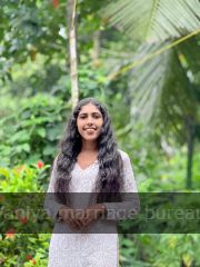Adithya Krishna pv